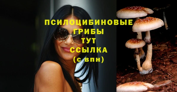стафф Алексин