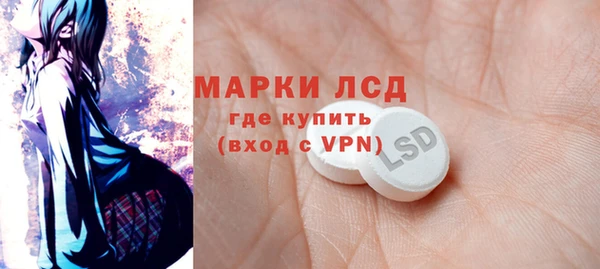 хмурый Осинники