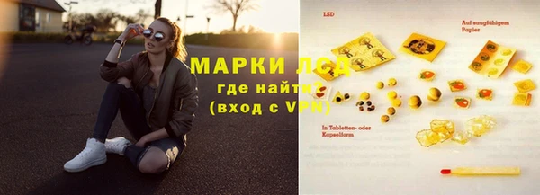 стафф Алексин
