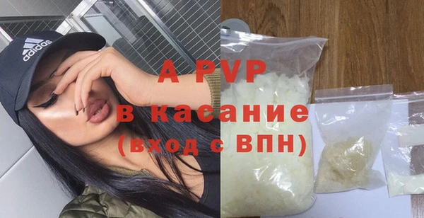 стафф Алексин