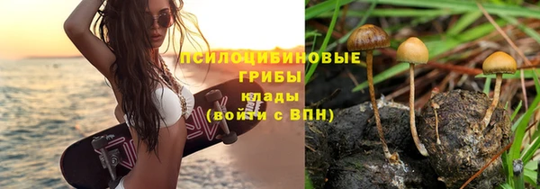 мескалин Алексеевка