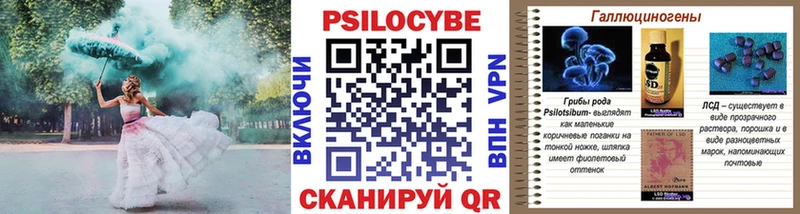 Галлюциногенные грибы GOLDEN TEACHER  где можно купить наркотик  Нефтекумск 